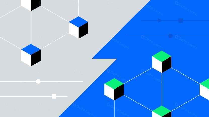 Testnet Vs. Mainnet: What is the Difference? 