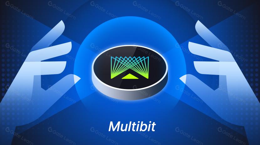 What is Multibit? All You Need to Know About MUBI
