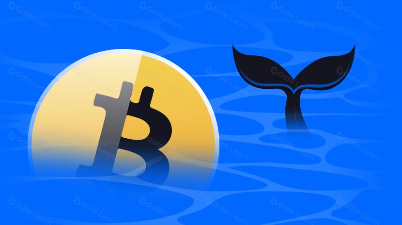 What are Cryptocurrency Whales? Can Retail Investors Follow Their Lead?