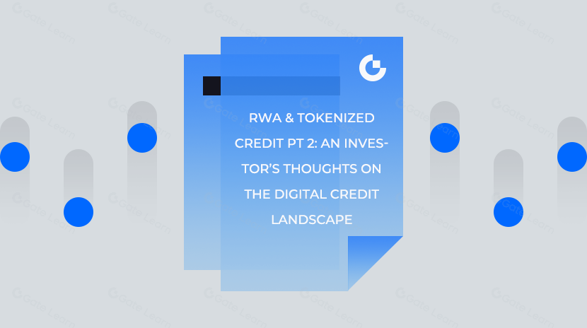 专业投资者对数字信贷格局的思考