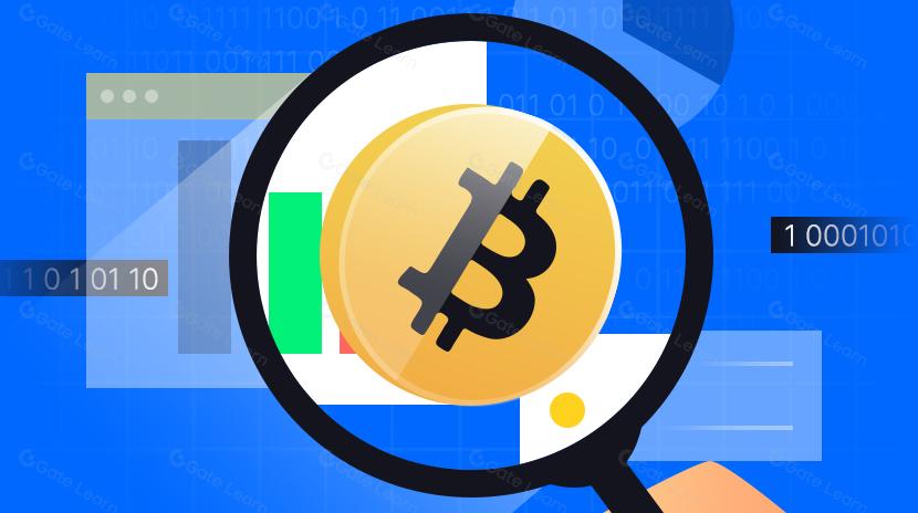 2024年加密市场的新周期、新问题及新概念