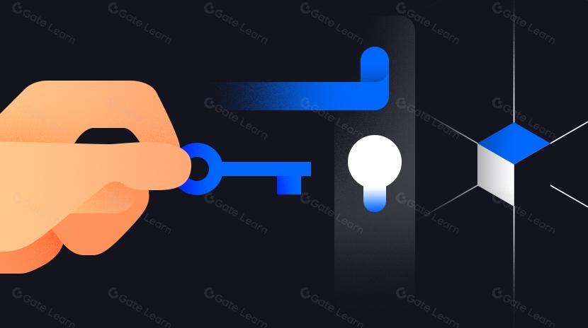 Let's Move Sui: Sui’s Underlying Move Language Explained