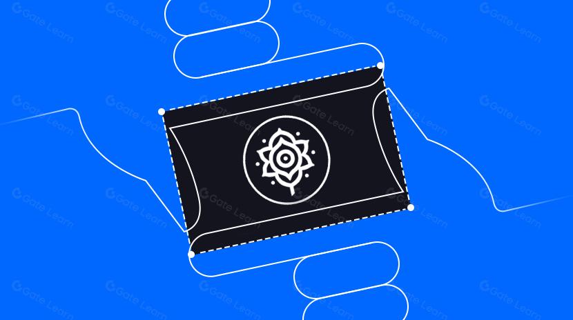 一文读懂Alkimiya