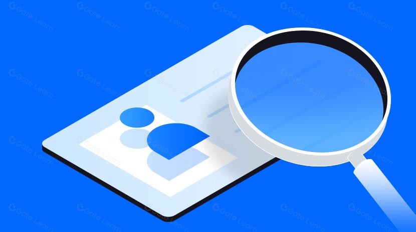 Cypher Capital Account Abstraction Report: Pros, Cons, Existing Infrastructure, and Future Outlook