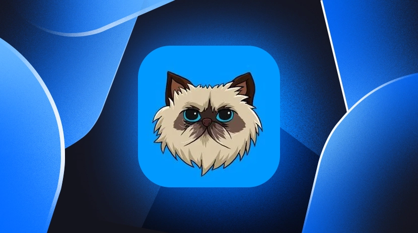 ¿Qué es Mister Miggles? Una guía para principiantes