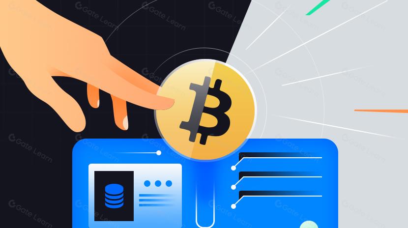 Какой криптовалютный кошелек использовать в 2024 году?