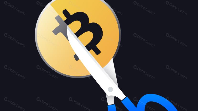 调整交易策略以应对即将到来的比特币减半：这一周期有何不同？