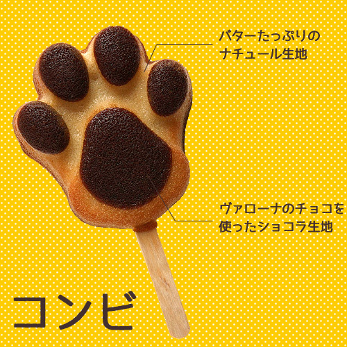 キャッツポウギフトボックス＆フィナンシェギフトセット