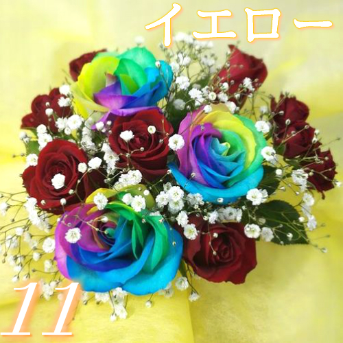 レインボーローズ5本入【お任せブーケ】 | 花ことば タンプ店の