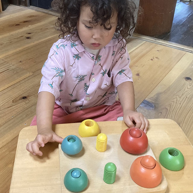 きのこのこのこ（日本製）想像力や美的感覚など様々な力を養う | 銀河