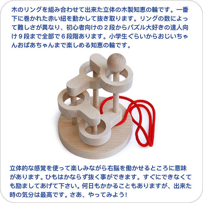 立体知恵の輪（4段）日本製 空間認識力、論理的思考、推理力…。子供