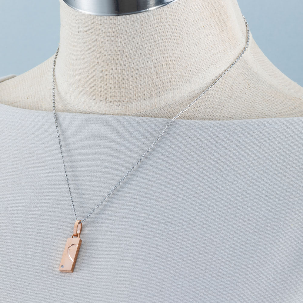 隠れデザインハート 選べる2collar ステンレスネックレス N1294
