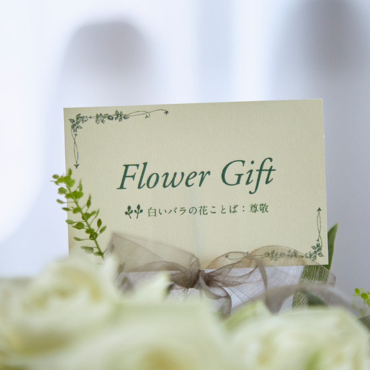 ことばの花箱 尊敬 白バラ Kusakanmuri クサカンムリ のプレゼント ギフト通販 Tanp タンプ