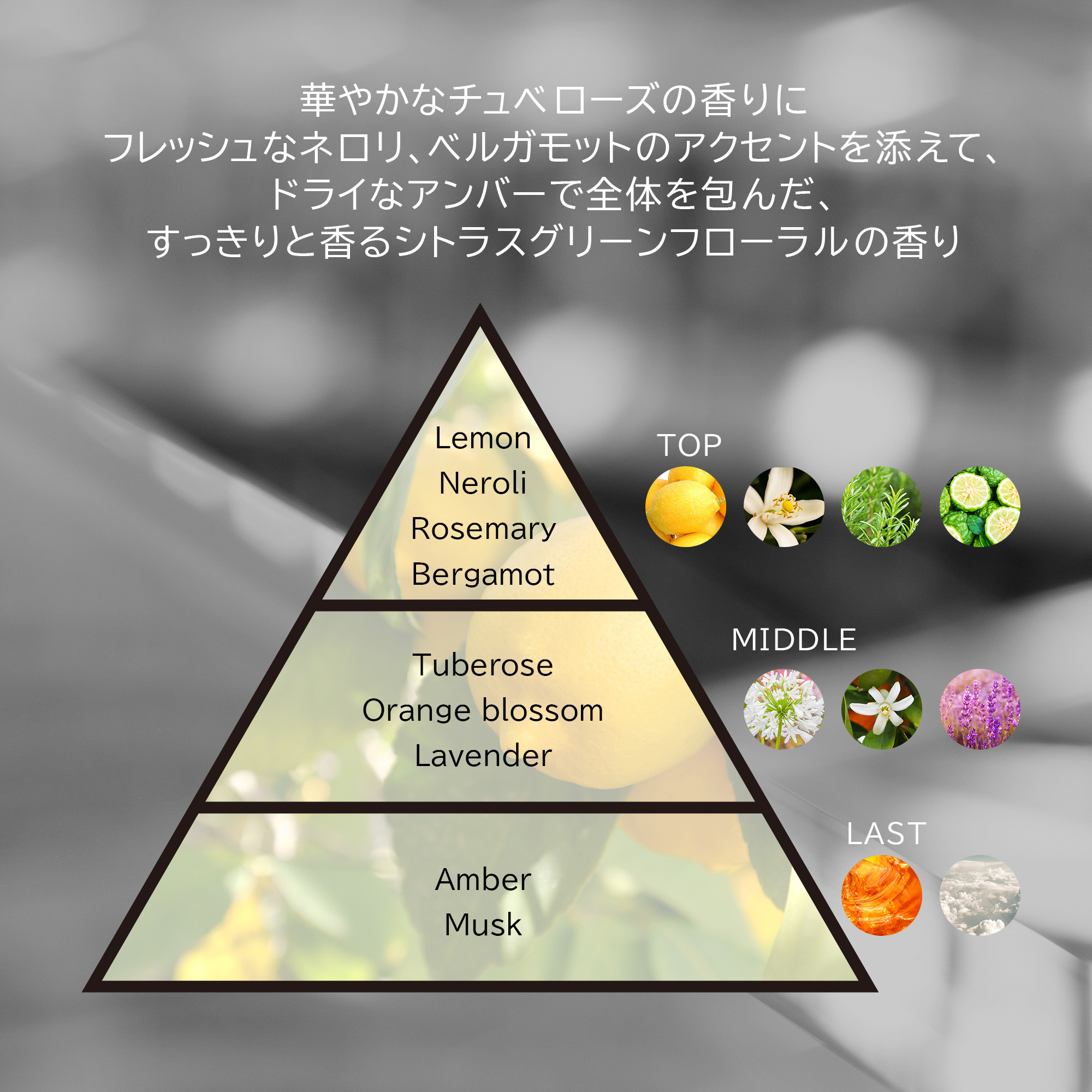 9 Puzzle ナインドッツパズル フレグランスハンドジェル Classy Citrus 9 Puzzle ナインドッツパズル のプレゼント ギフト通販 Tanp タンプ