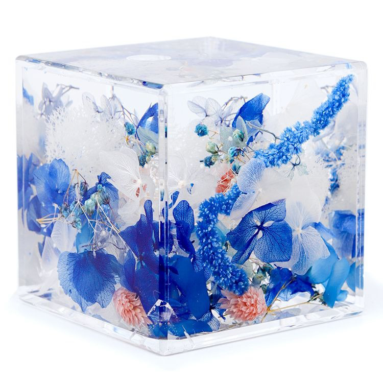 ブルームアクア キューブ 全10種 | hikka（ヒッカ）のプレゼント