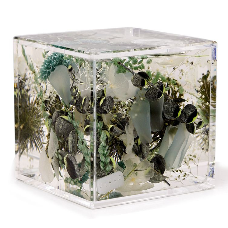 ブルームアクア キューブ 全10種 | hikka（ヒッカ）のプレゼント