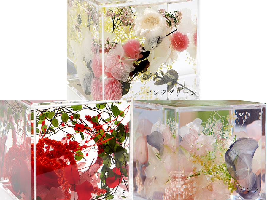 ブルームアクア キューブ 全10種 | hikka（ヒッカ）のプレゼント