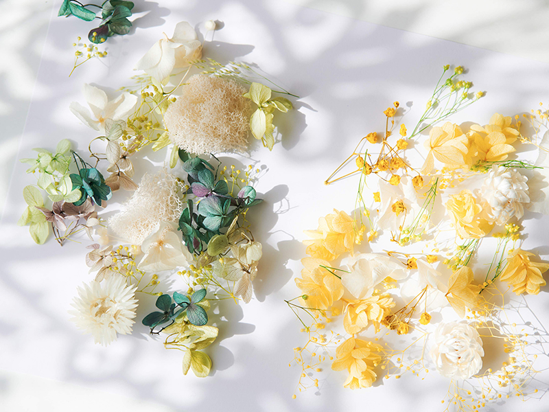 ブルームアクア キューブ 全10種 | hikka（ヒッカ）のプレゼント