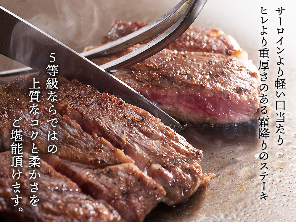 佐賀牛 宮崎牛 A5 極上 ロース ステーキ 500g (2枚入） | 肉のやまだ屋