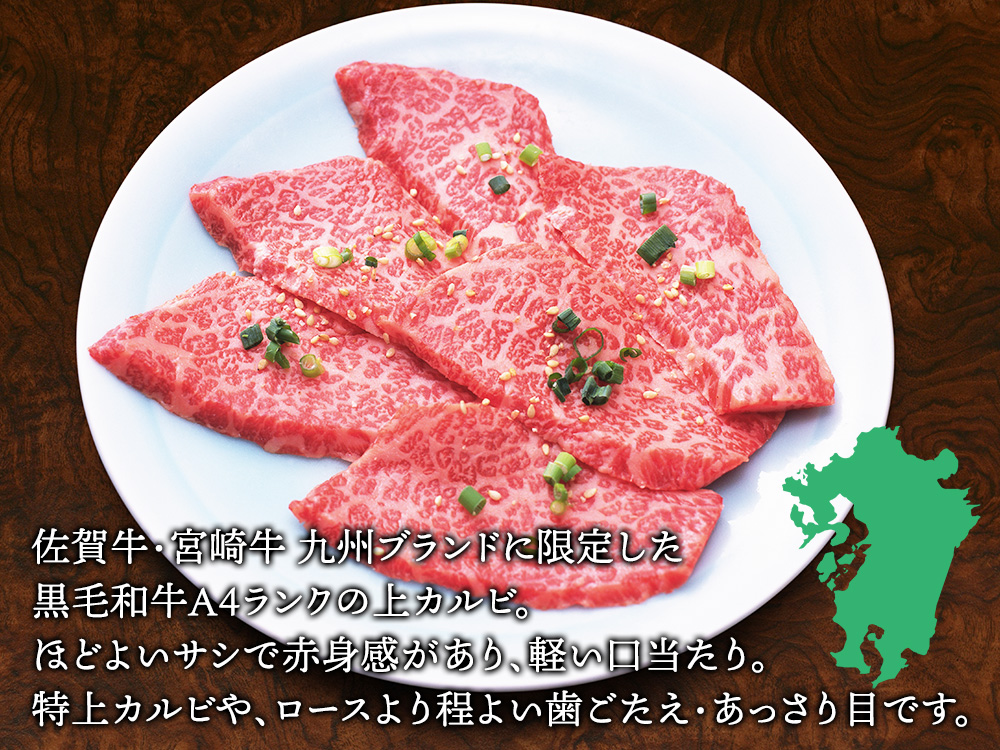 佐賀牛 宮崎牛 A4 (上) カルビ 500g (3～4人前） | 肉のやまだ屋