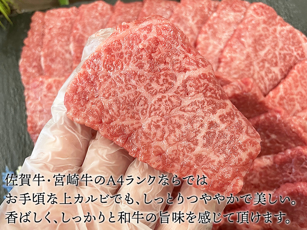 佐賀牛 宮崎牛 A4 (上) カルビ 500g (3～4人前） | 肉のやまだ屋