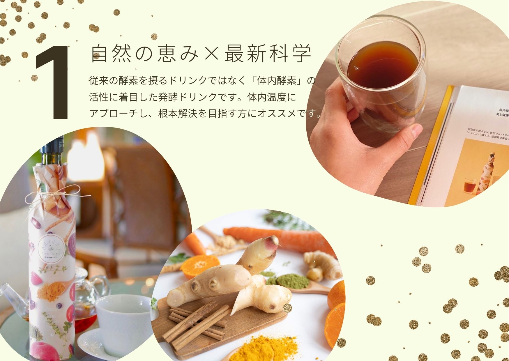 野草発酵エキスセット（専用ハーブティー付き） | THE ONE（ザ・ワン