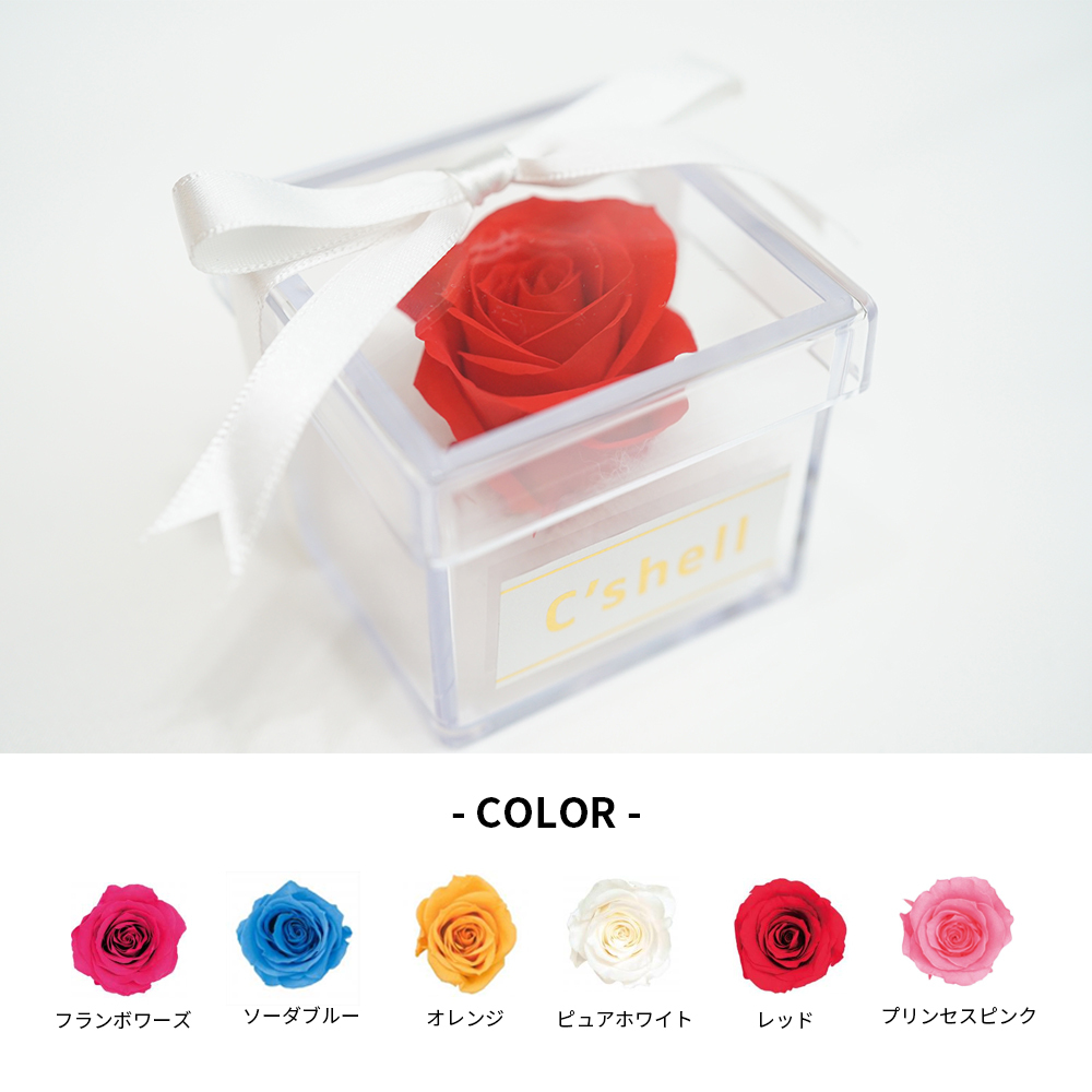 n140b【高品質✧】リボンネックレス　シルバー　可愛い　記念日　ギフト無料 Amazon | Rockyu ペアネックレス 高校生 ステンレス シルバー