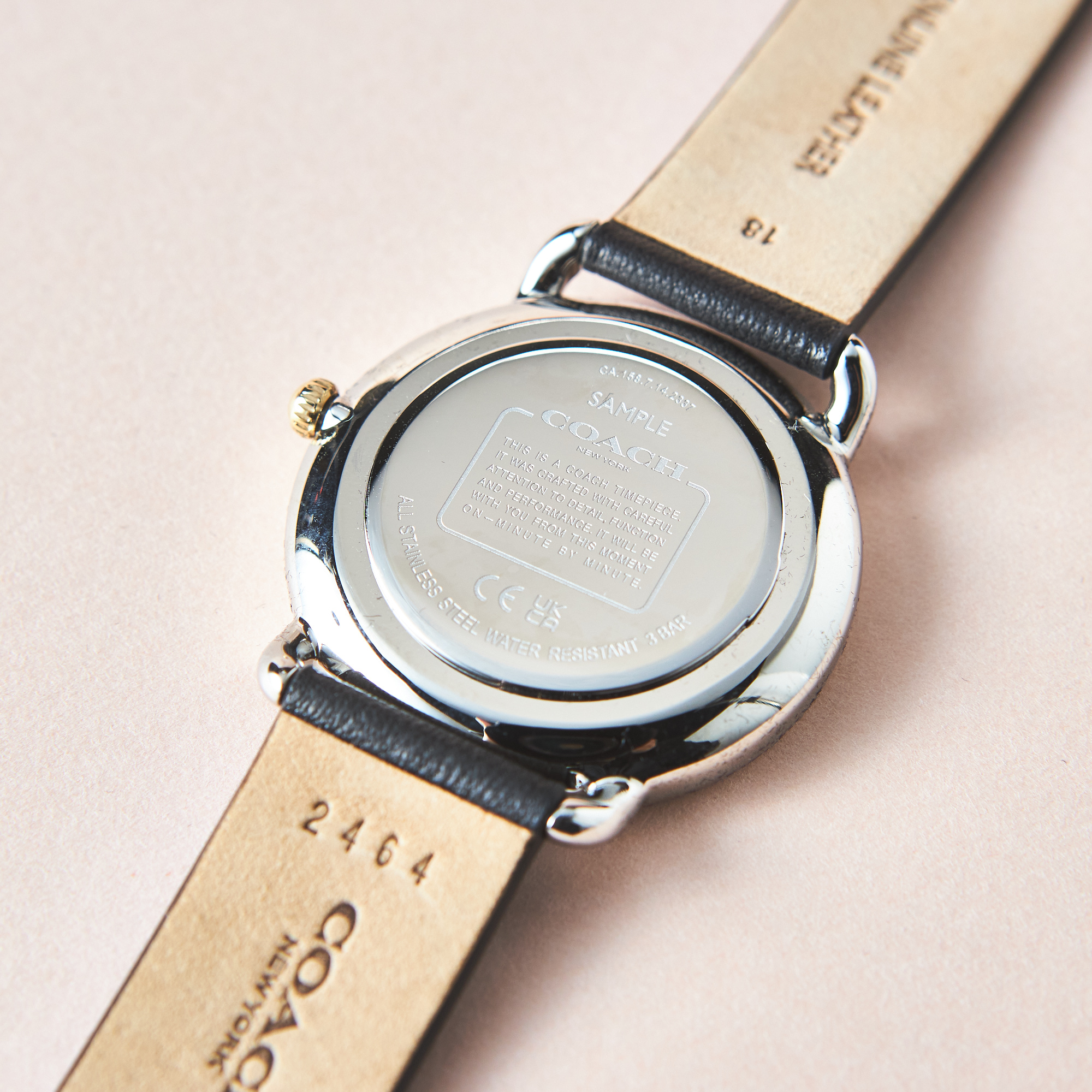 レディース】エリオット 36mm TT (SS/GP) シルバー ホワイト サンレイ 