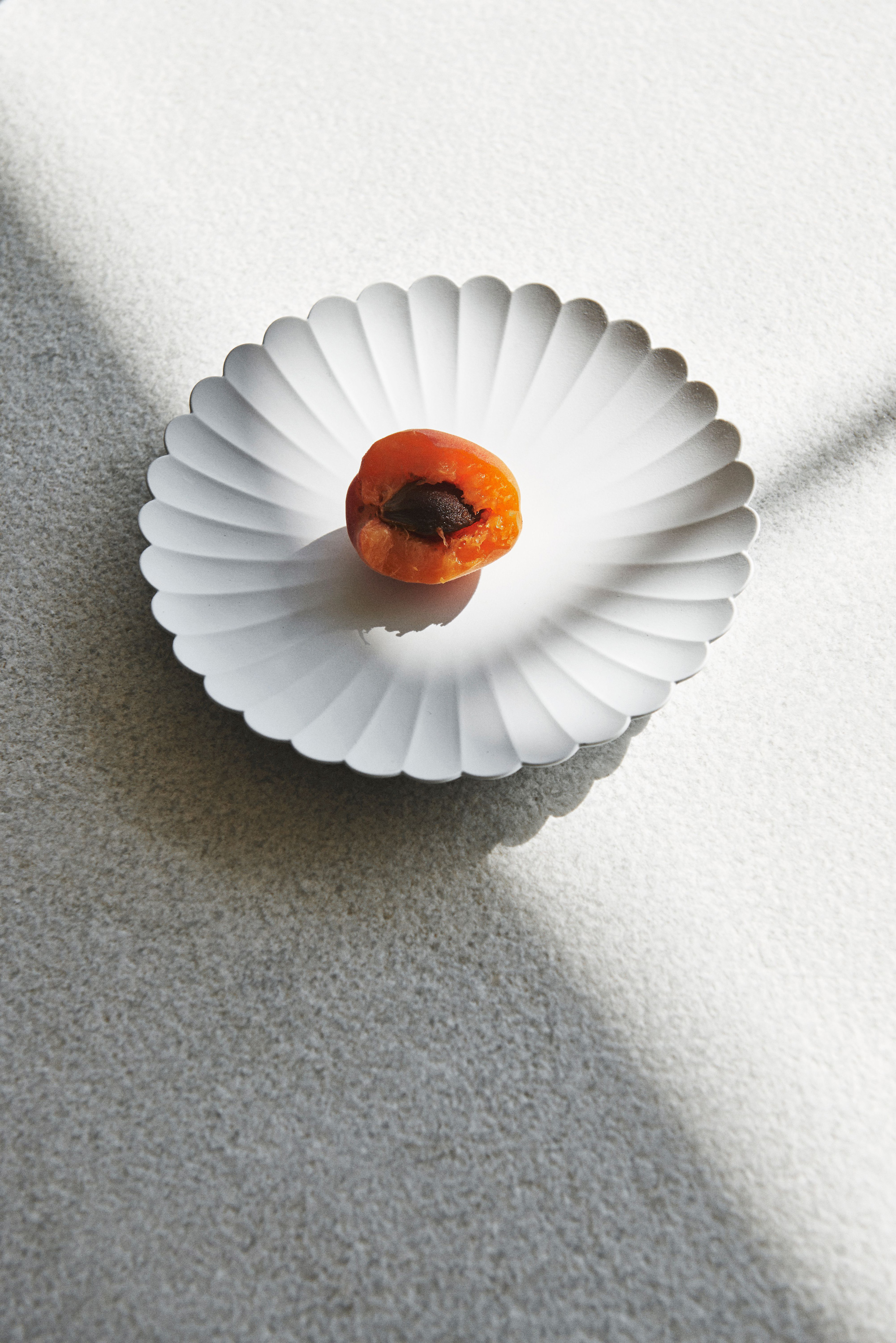 1616 arita japan TY パレス160プレートペア | 1616/arita japan