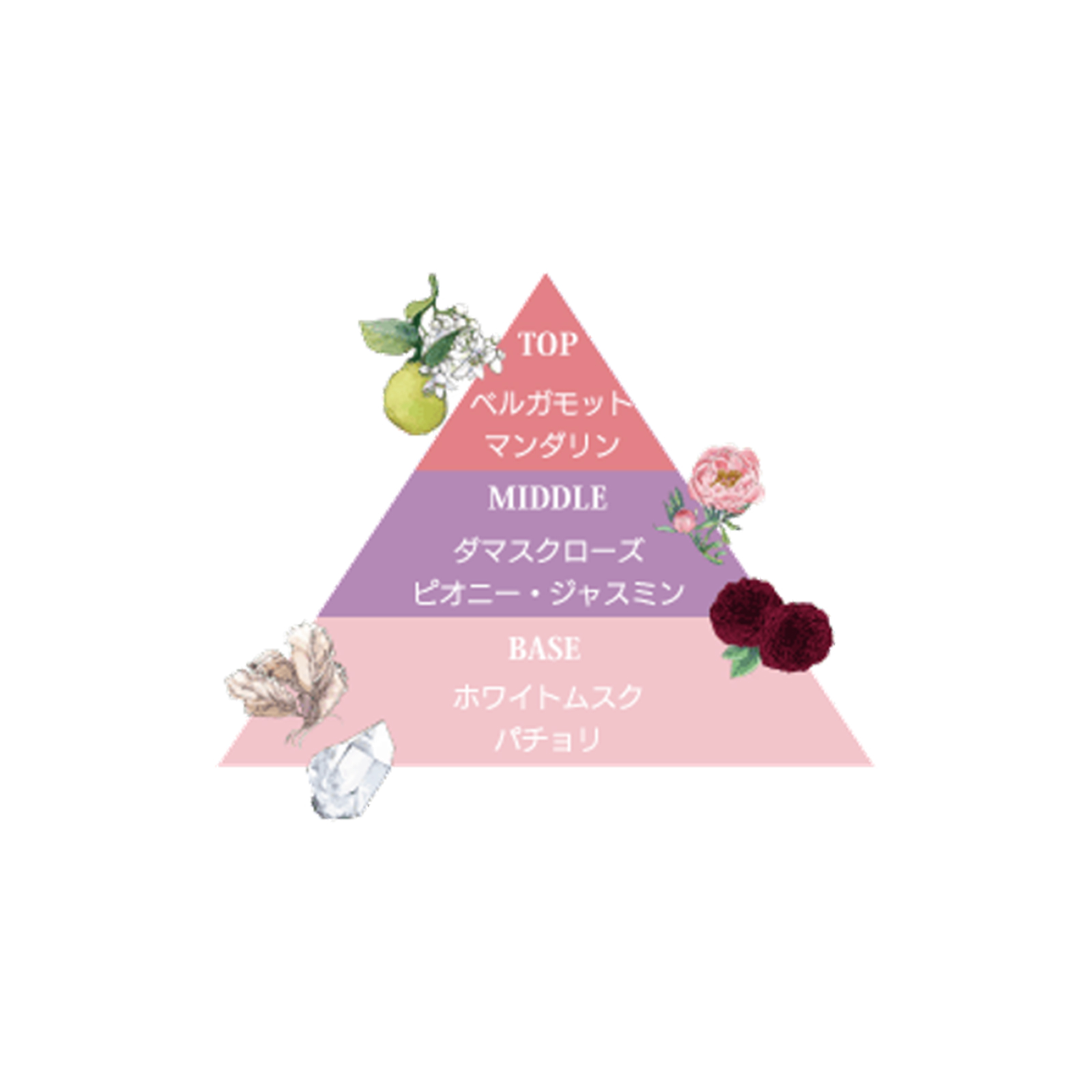 パフューム＆フレグランスハンドクリームセット | PINKROSA