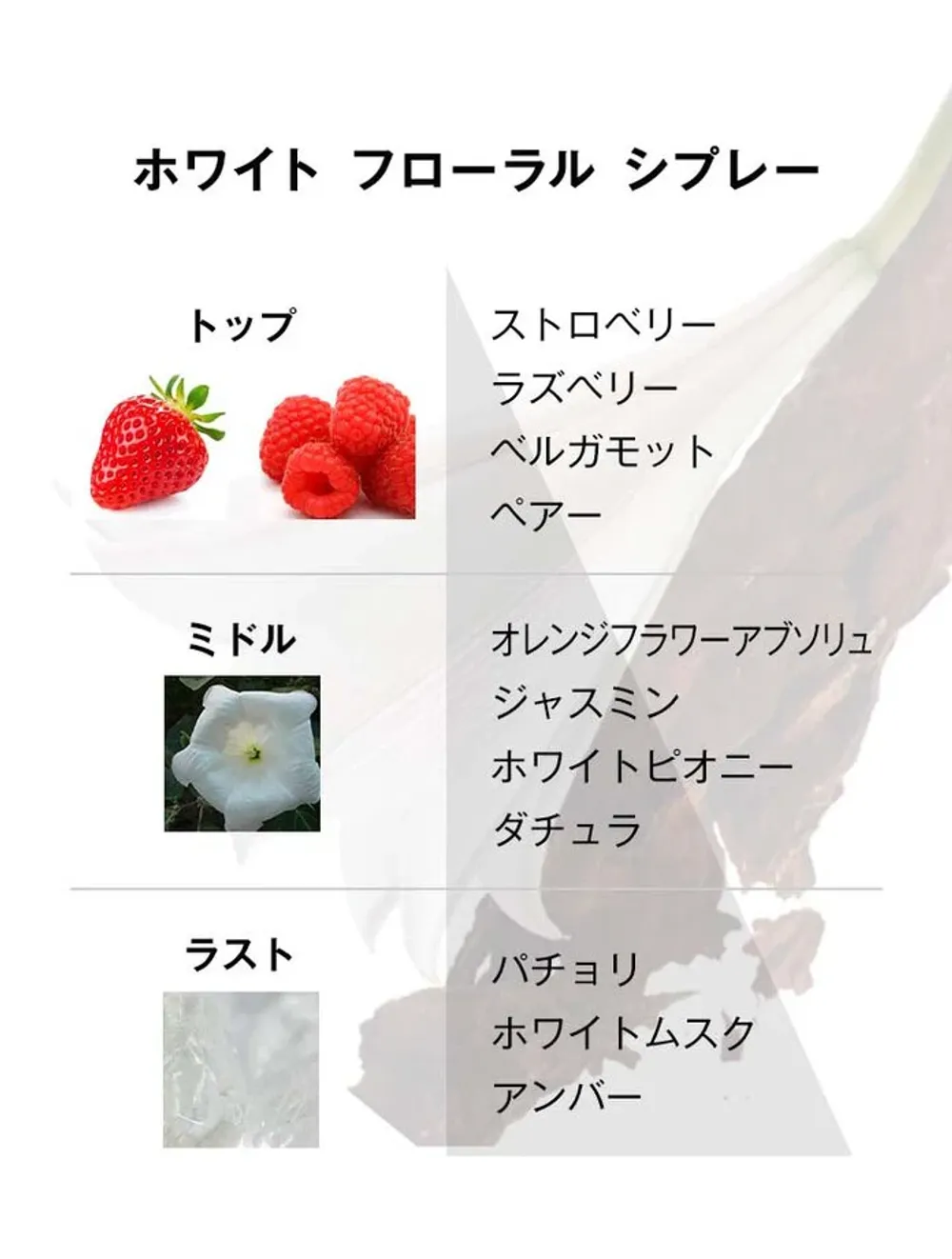モン パリ トラベルセレクション(香水50ml+ボディローション50mlセット