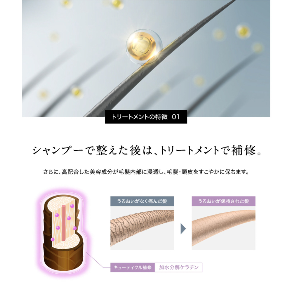 スカルプシャントリセット | EVERSKIN（エバースキン）の