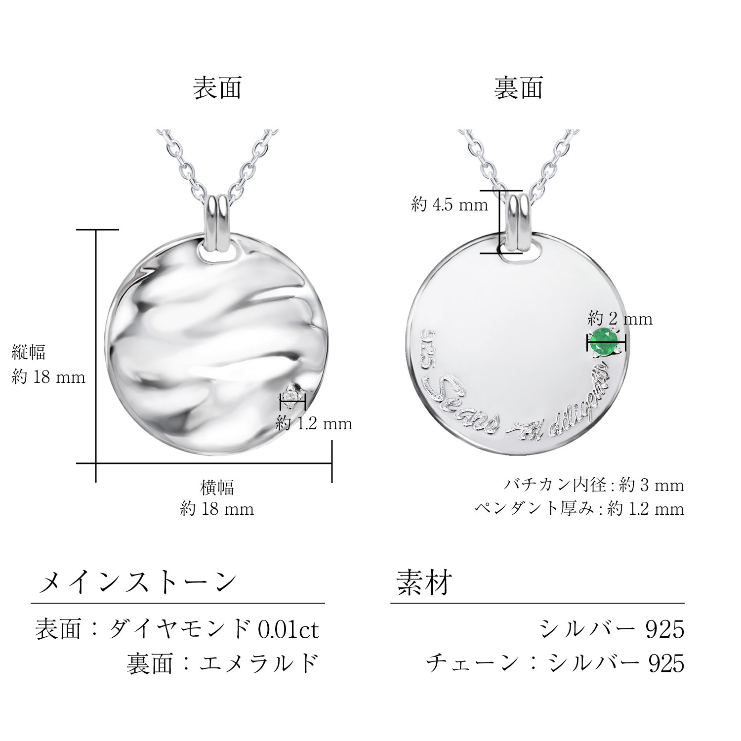 12月誕生石つきコインネックレス（リバーシブル） | Sears（シアーズ