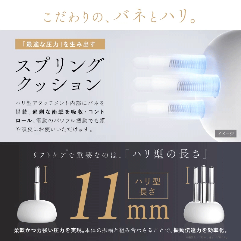 リフトケア】電動フェイスポインター BEGUN | NIPLUX（ニップラックス