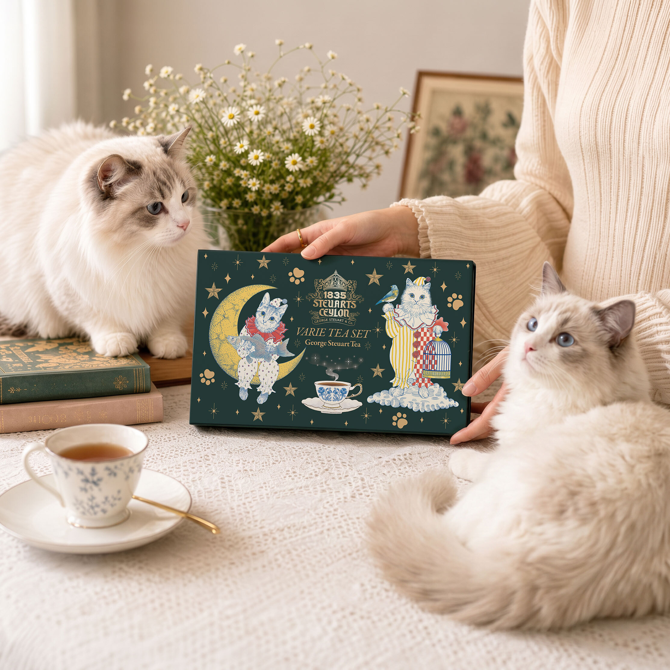 ファーストクラスで採用された紅茶】24days紅茶アソート（猫