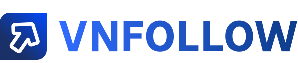 vnfollow.com