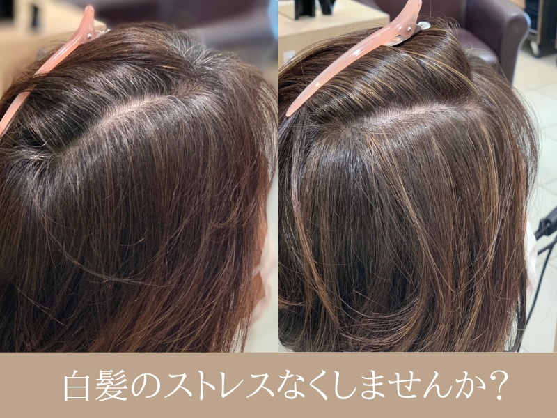 透明感と大人のお洒落
さりげないデザイン【ハイライト】