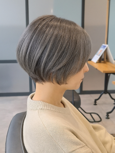 シルバーアッシュ画像