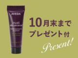 新規｜【秋のエイジングケア☆お土産付き】カット+インヴァティショートスパ￥9,350→￥6,545のイメージ画像