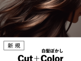 美髪ケア|カット+白髪ぼかしハイライト+HITA(20%OFF)¥28,600→¥22,880のイメージ画像