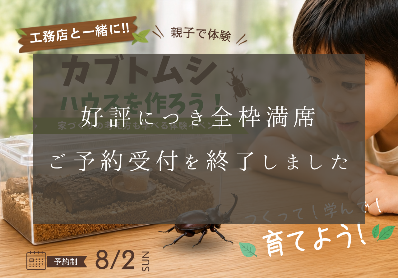 自分だけのカブトムシハウスを作って学んで育てよう！