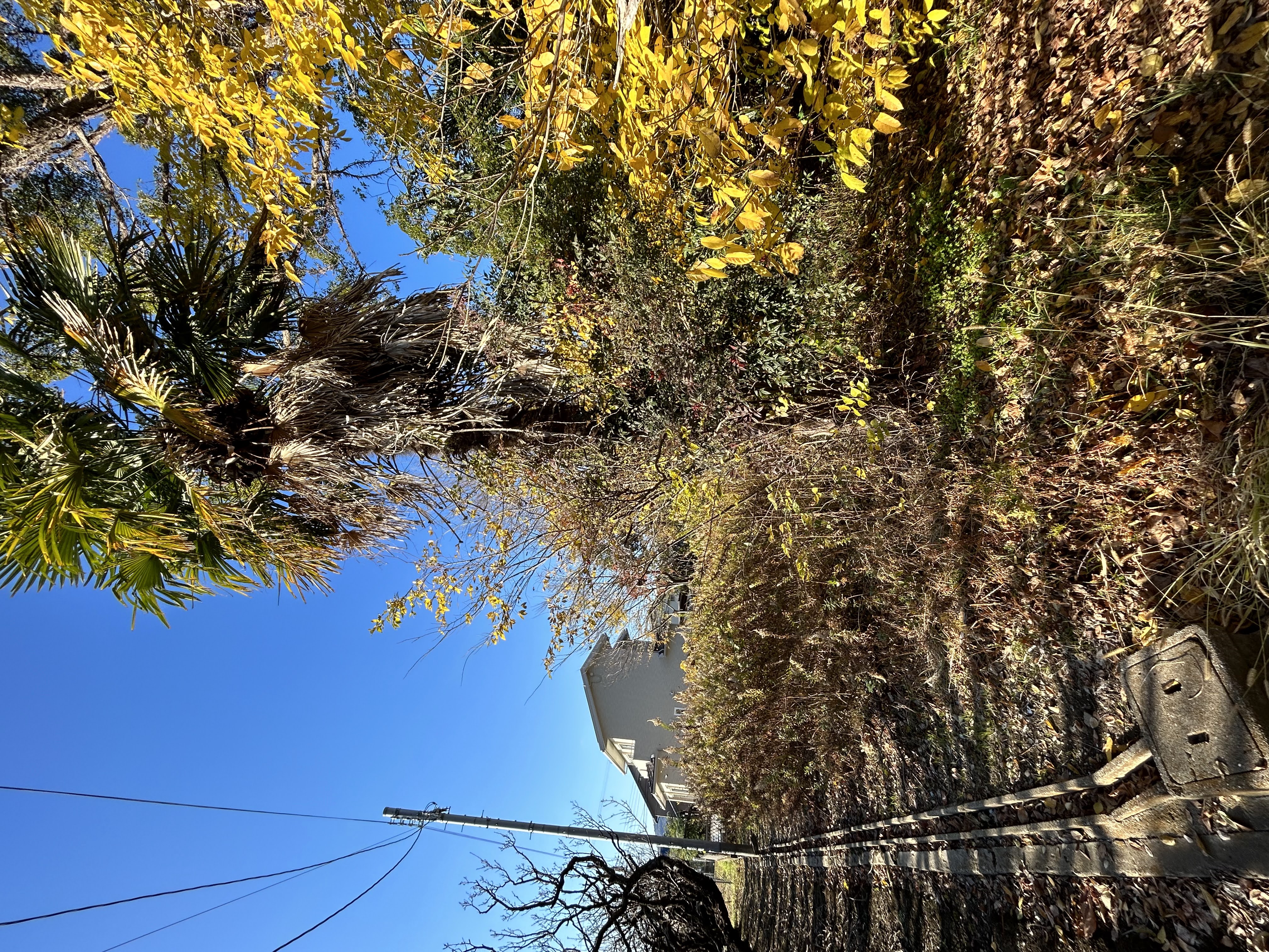 川西市のK様の画像