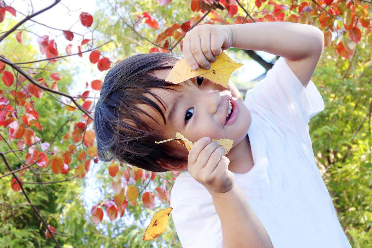 紅葉と子ども