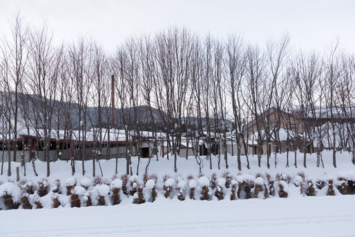 雪景色