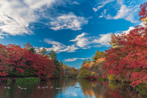 紅葉の季節には美しい景色が楽しめます