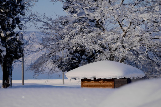 豪雪