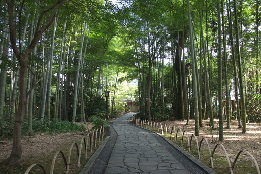 竹林