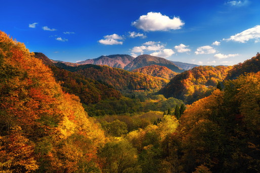 山