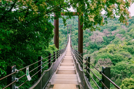 吊り橋