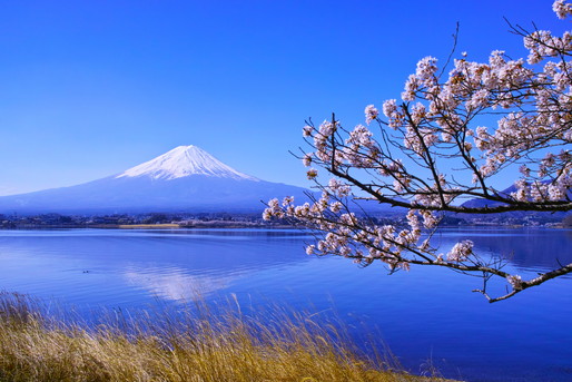 富士山